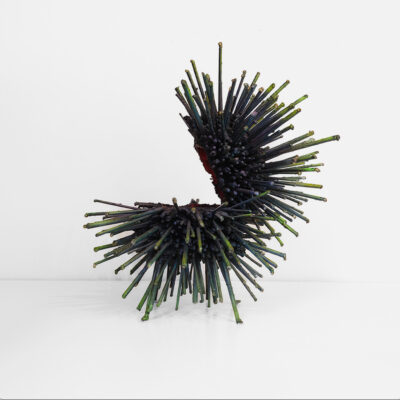 "Harry Box" Lidded Box / Sculpture By James Bearden