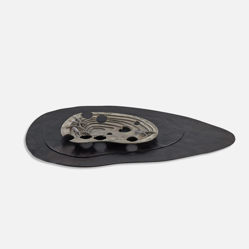 TOPO XX004
