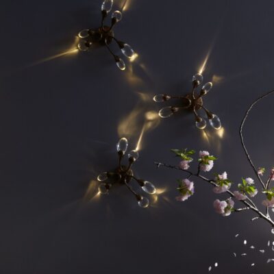 Damselfly Wall Light