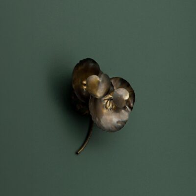 Eucalyptus Wall Light – Small