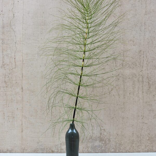 Willow Console
