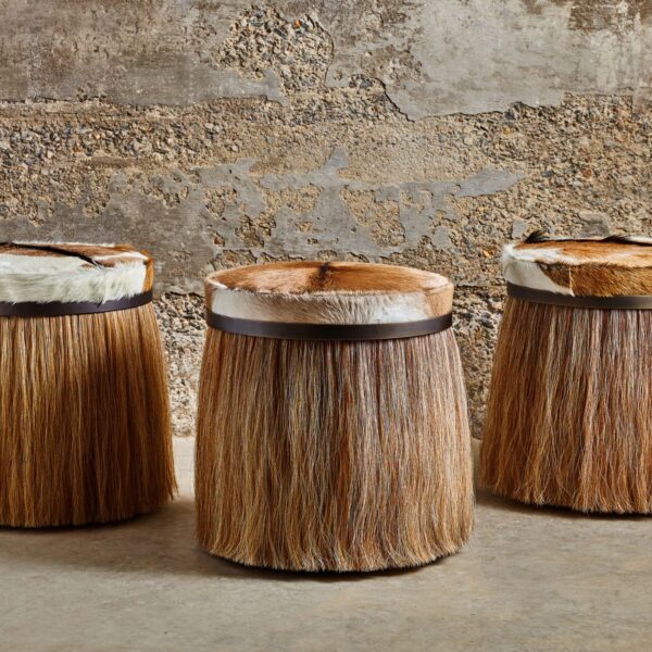Thing 1 Stool