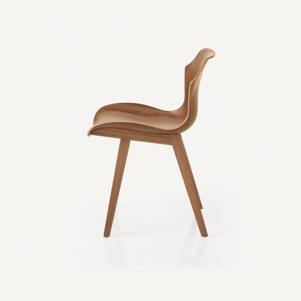 Petal Chair