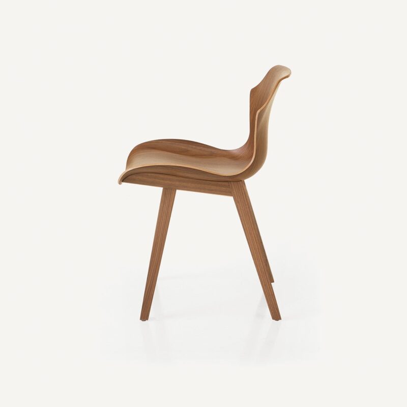 Petal Chair