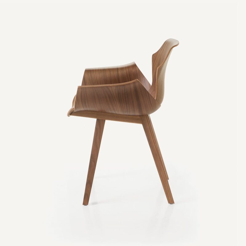 Petal Chair