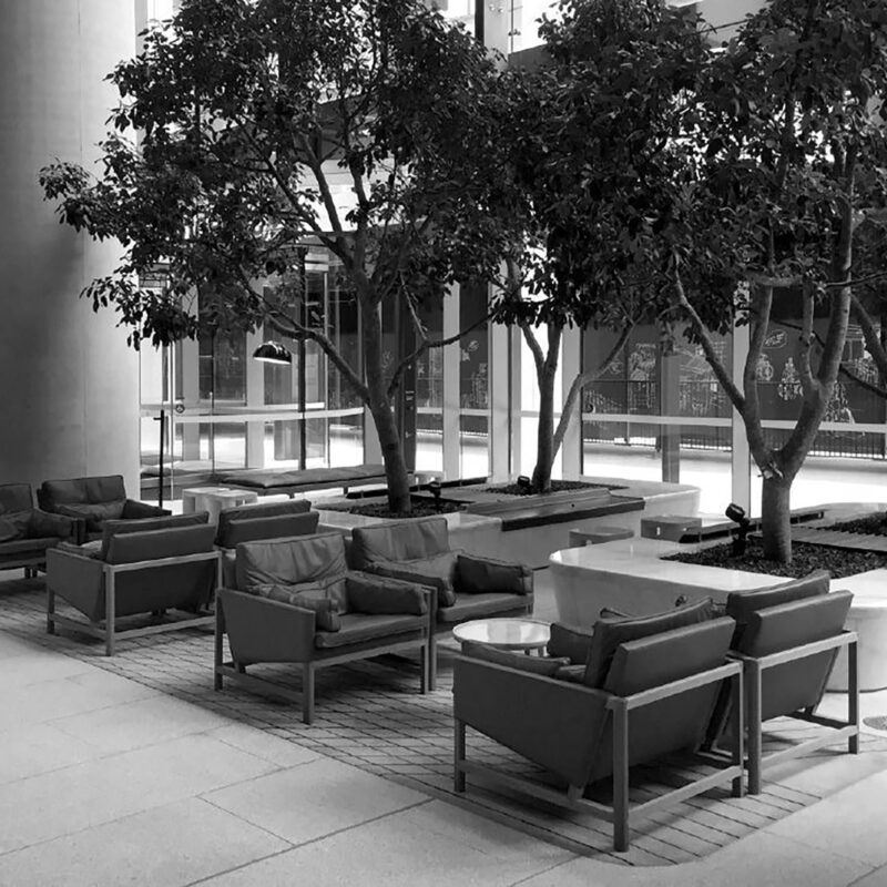 Wood Frame Low Back Lounge Chair