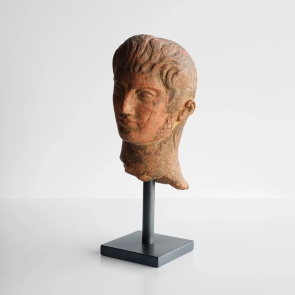 Gallus Bust