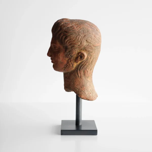 Gallus Bust