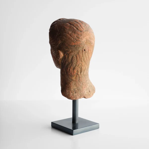 Gallus Bust