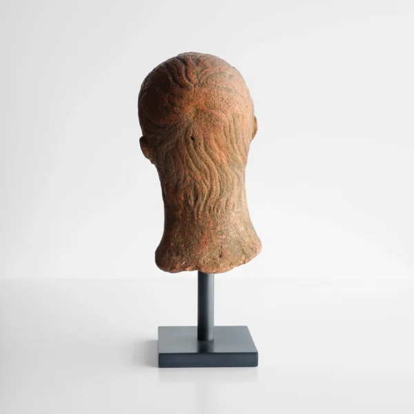 Gallus Bust
