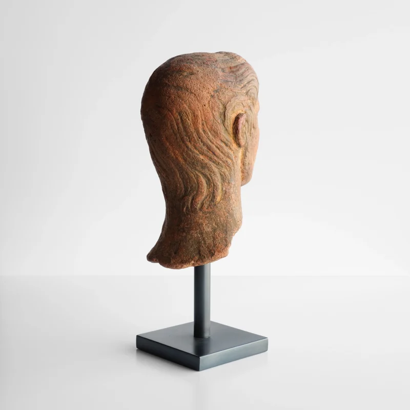 Gallus Bust