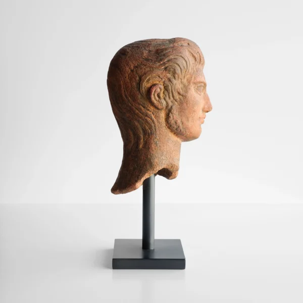 Gallus Bust