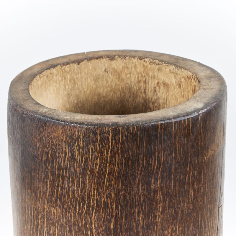 Pindo Palm Vase