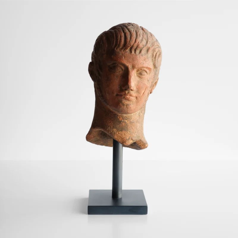Gallus Bust