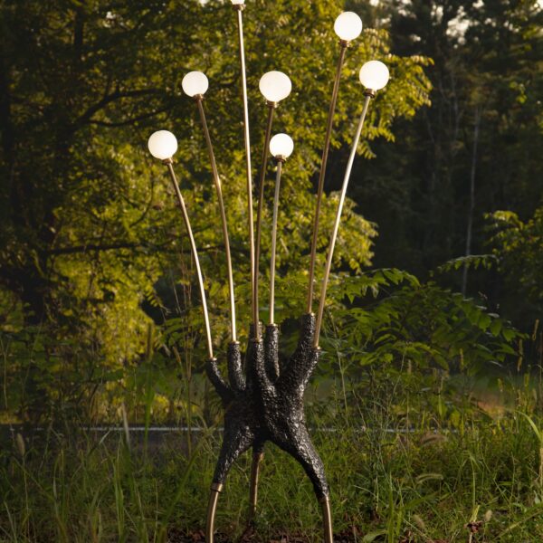 Hydra Lamp