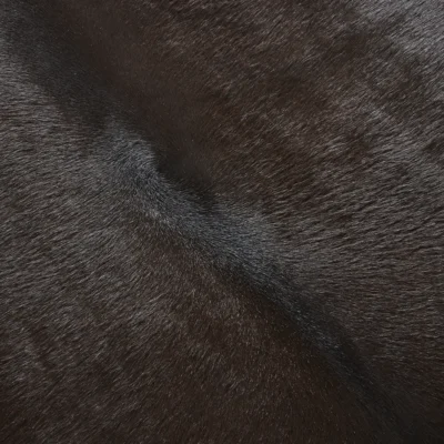 Bauhaus Wassily Daybed by Marcel Breuer for Knoll