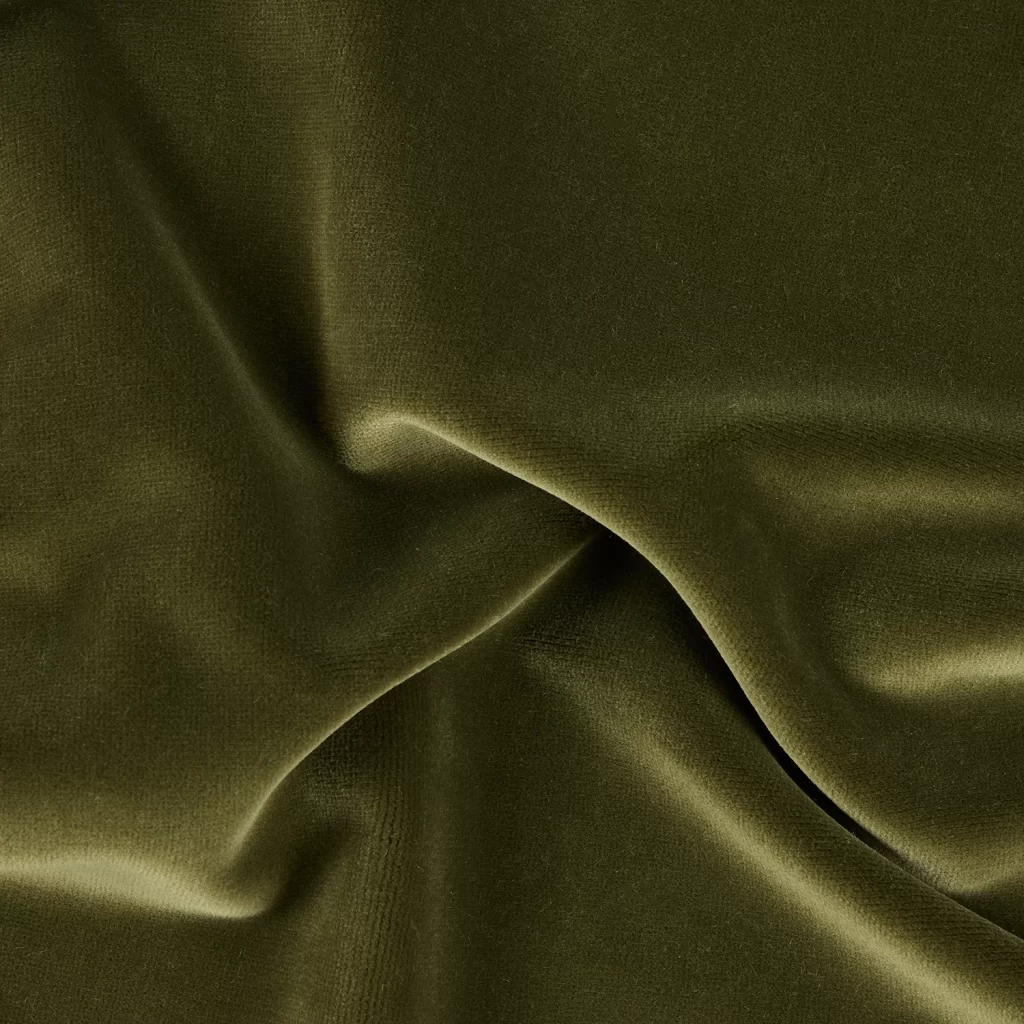 SILVIA - OLIVE