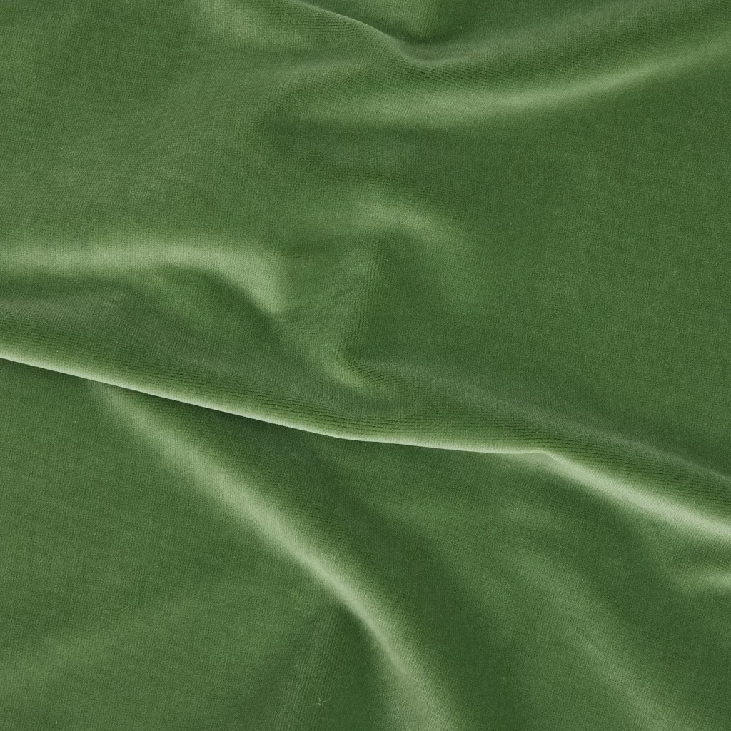 SILVIA - SALVIA