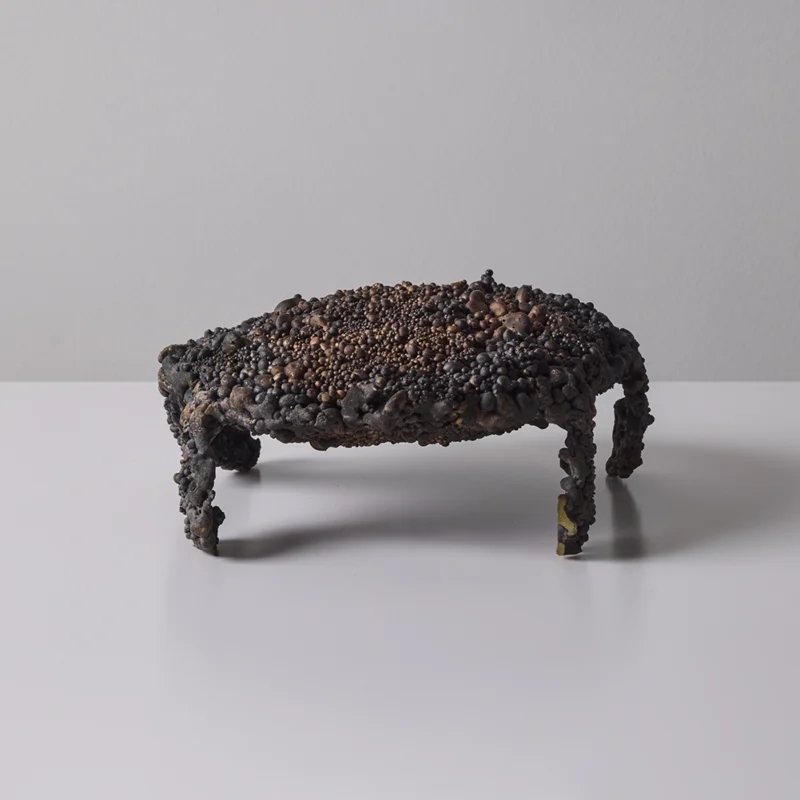 Uplift the Face of the Turtle Bronze Sculpture by Val Bertoia