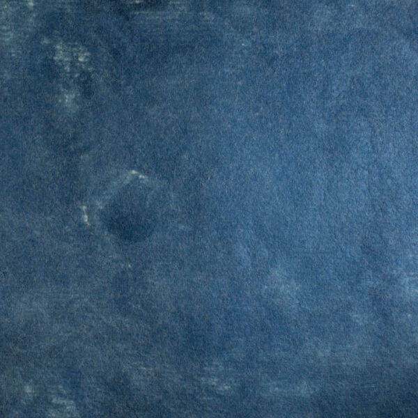 BOTANICAL INDIGO