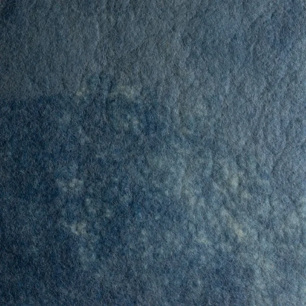 BOTANICAL INDIGO