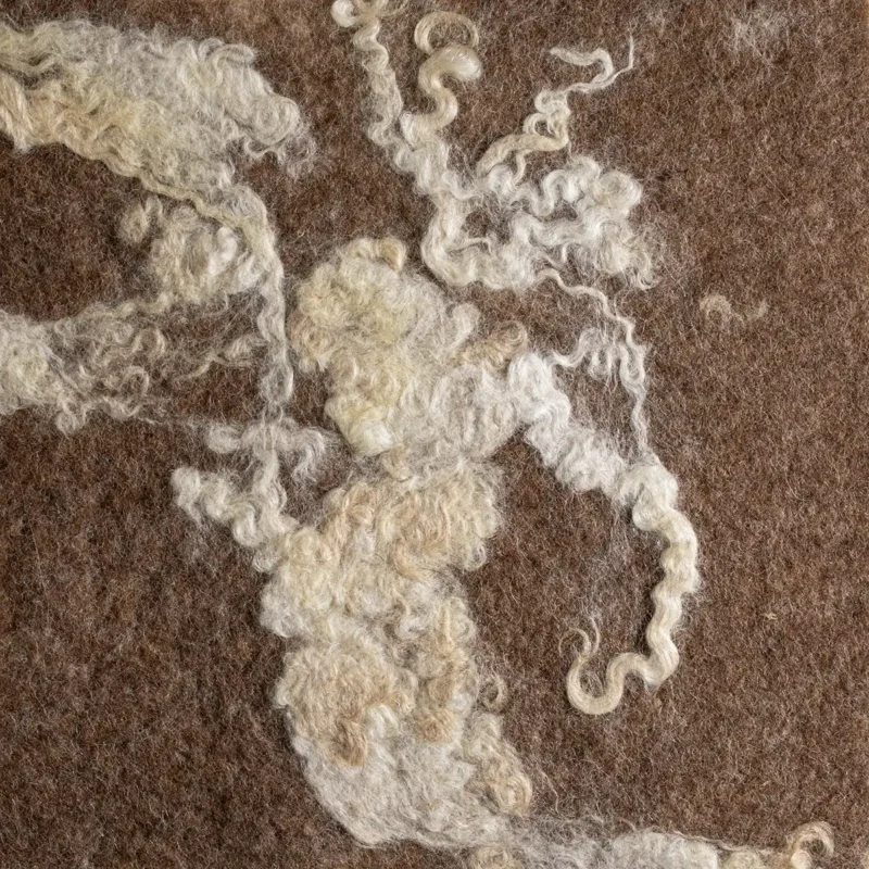 CREAM WENSLEYDALE ON SHETLAND BROWN