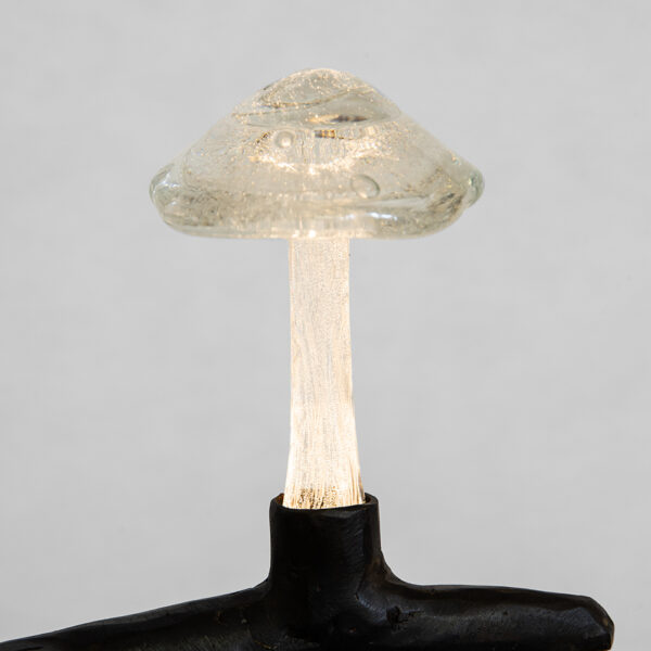 Flora No. 4