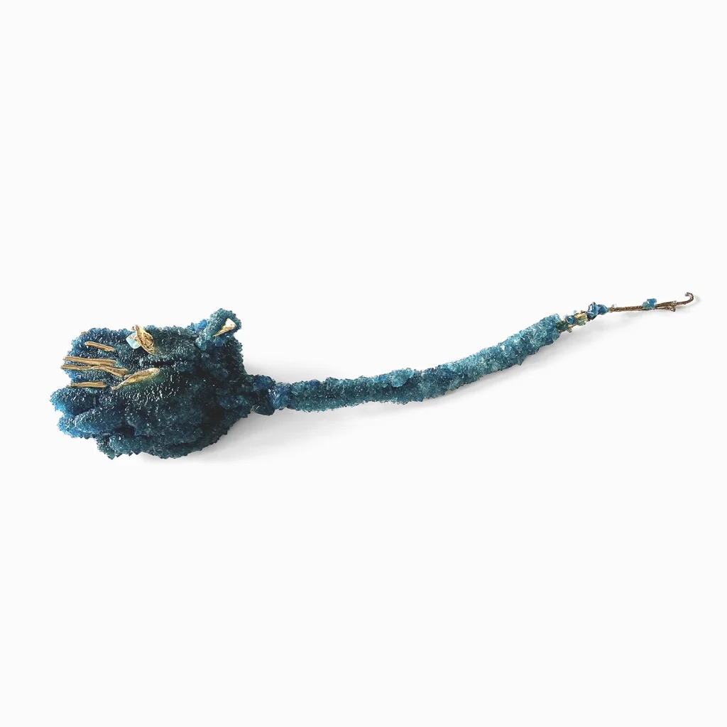 MEGAFLORA No.4