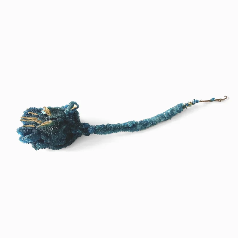MEGAFLORA No.4