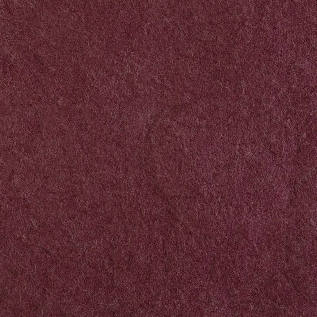 CIPOLLA