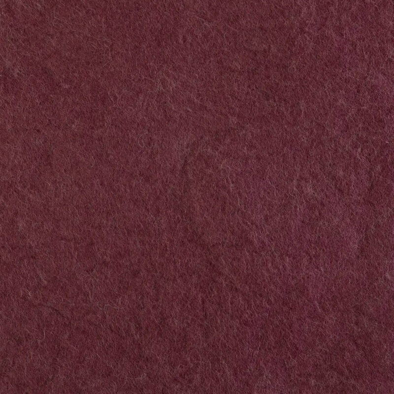 CIPOLLA