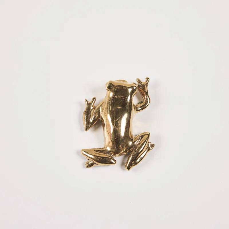 Gold Tree Frog