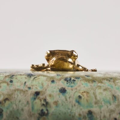 Gold Tree Frog
