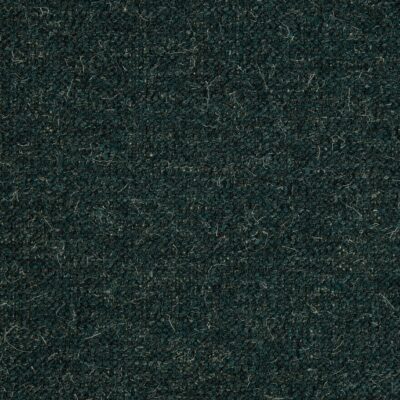 ZUCCHEROSO – LAGOON