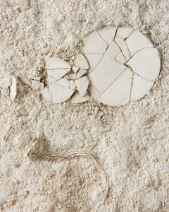 Trace Antropocene (tableau)