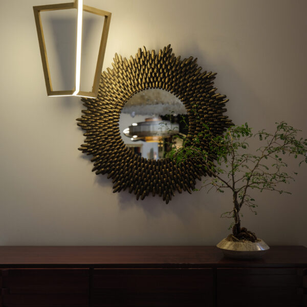 Miroir cygales