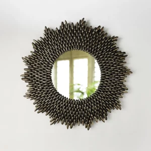 Miroir cygales