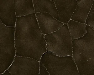 Kosmorrhagie