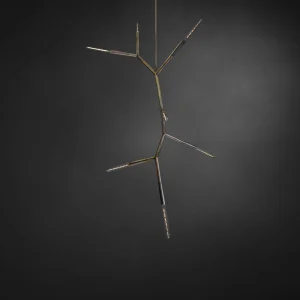 PHASMIDA VERTICAL