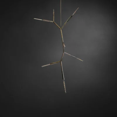 PHASMIDA VERTICAL