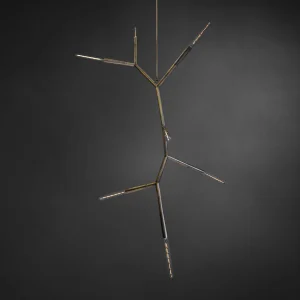PHASMIDA VERTICAL