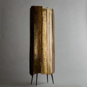 Cabinet Plasma