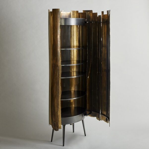 Cabinet Plasma