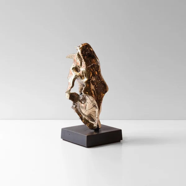 Sabre Tooth Tiger Skull Bookends