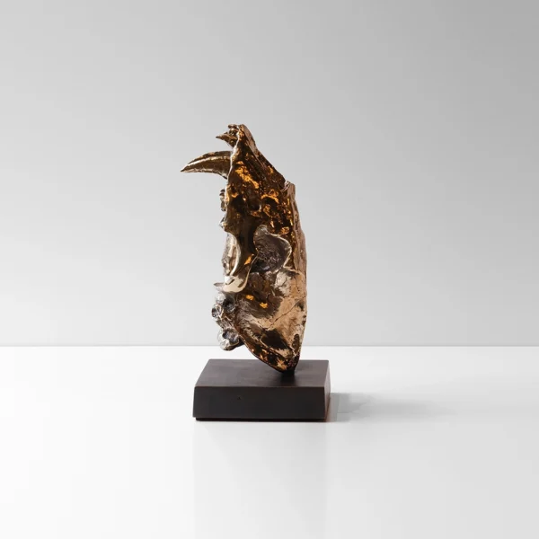 Sabre Tooth Tiger Skull Bookends