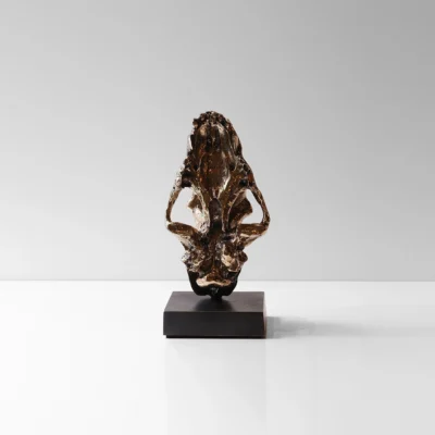 Sabre Tooth Tiger Skull Bookends