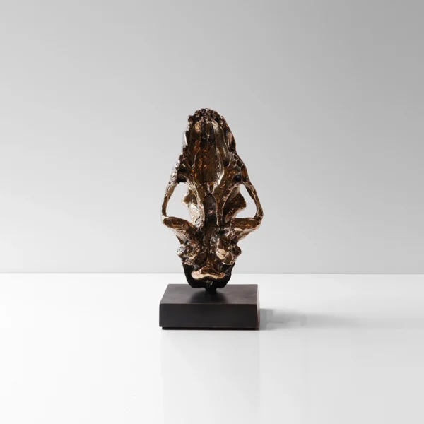 Sabre Tooth Tiger Skull Bookends