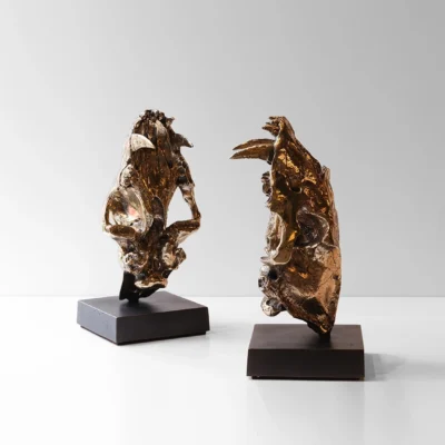 Sabre Tooth Tiger Skull Bookends