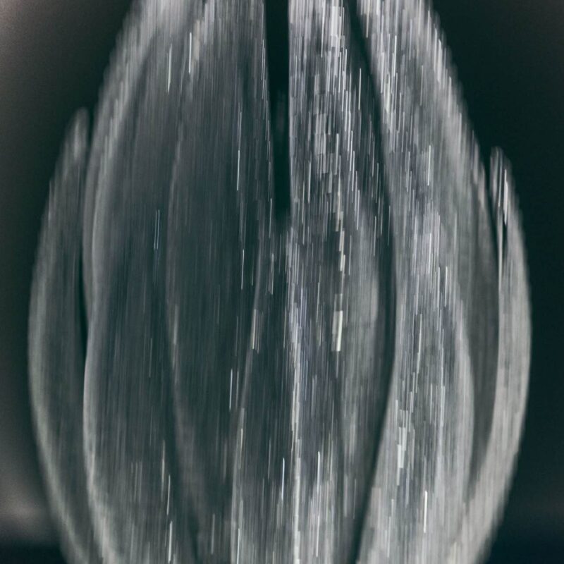 Agave Sconce
