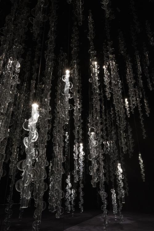 Germogli Suspension Lamp